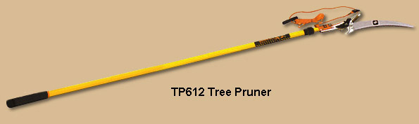 Where to rent Tree pruner w  hand saw 16ft in Longmont CO